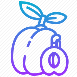 梅子