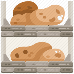 土豆