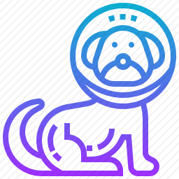 狗
