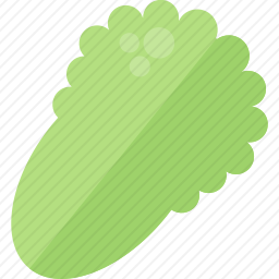 <em>蔬菜</em>