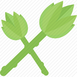 <em>蔬菜</em>