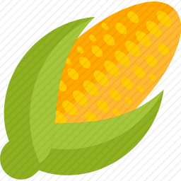 玉米