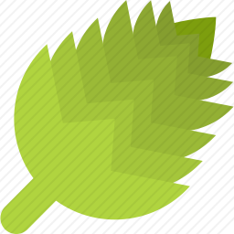 <em>朝鲜蓟</em>