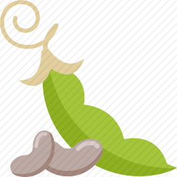 豆荚
