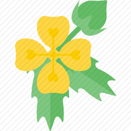 <em>花</em>