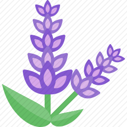 <em>花</em>