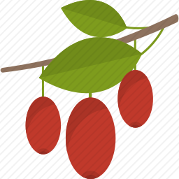 <em>浆果</em>