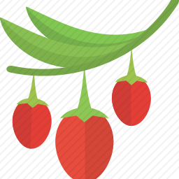 <em>浆果</em>