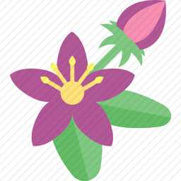 <em>花</em>