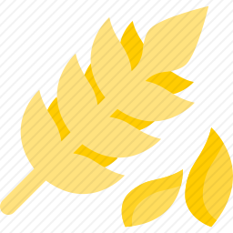 <em>小麦</em>
