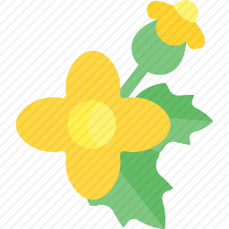 <em>花</em>