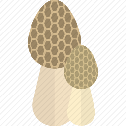 <em>蘑菇</em>