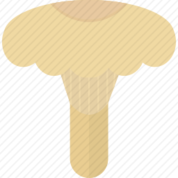 <em>蘑菇</em>
