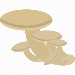 <em>蘑菇</em>
