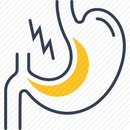 <em>胃</em>