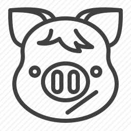生气的<em>猪</em>