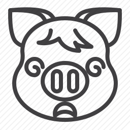 头晕的<em>猪</em>