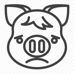 悲伤的<em>猪</em>