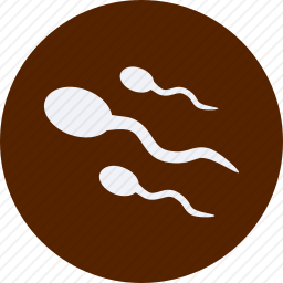 精子