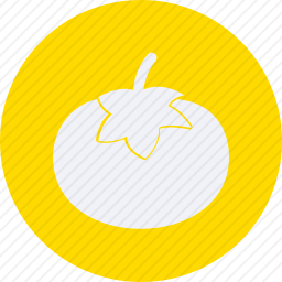 <em>番茄</em>