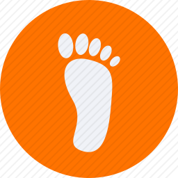 <em>足迹</em>