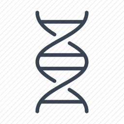 DNA
