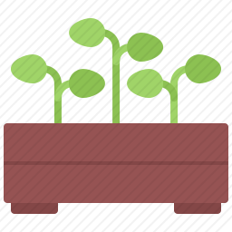 植物