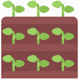 植物