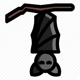 <em>蝙蝠</em>