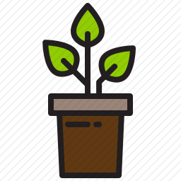 植物