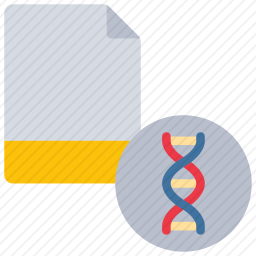 <em>科学研究</em>