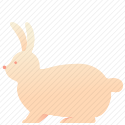 <em>兔子</em>