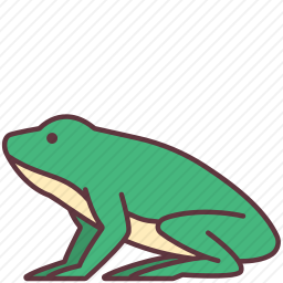 青蛙