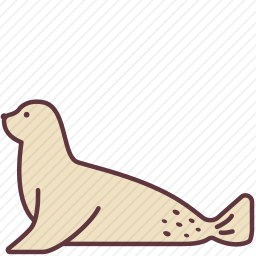 海豹