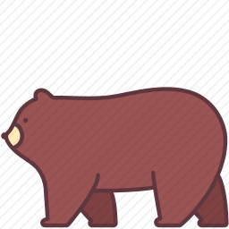 熊