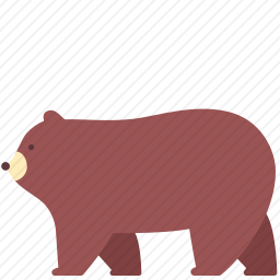 熊