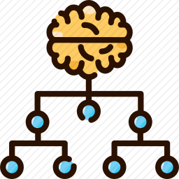 <em>分类</em>