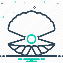 <em>贝壳</em>