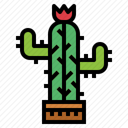 仙人掌