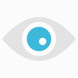 <em>眼睛</em>