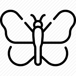 丝绸<em>蝴蝶</em>