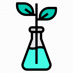 <em>实验</em>
