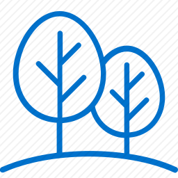 <em>森林</em>