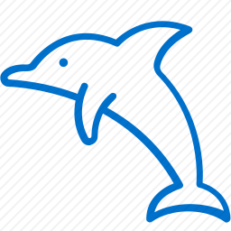 海豚