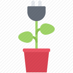 植物