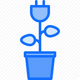 植物