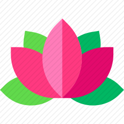 <em>莲花</em>
