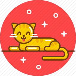 猫