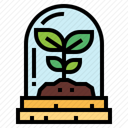 植物