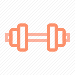 <em>哑铃</em>